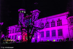 Historical Museum in Violett - Museumsnacht Bern 2018
